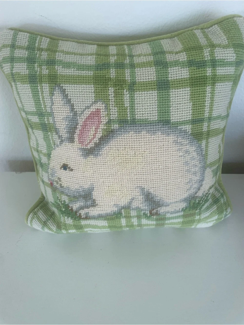 Unmarked bunny rabbit